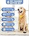 Dog Buttons for Communication, 6 Pcs Dog Talking Button Set, 30s Voice Recordable Pet Training Buzzer, Speaking Buttons for Cats & Dogs with Waterproof Dog Activity Mat and 24 Scene Stickers