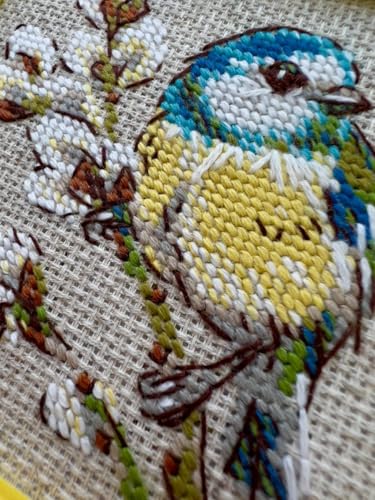 Image of RIOLIS - Titmouse 2244, Cross Stitch Kits 4 inchx4 inch, Cross Stitch Kits for Adults, Counted Cross Stitch, Embroidery Kit for Beginners & Advanced, Nature Crossstitching Kits, Counted Stitching Kits