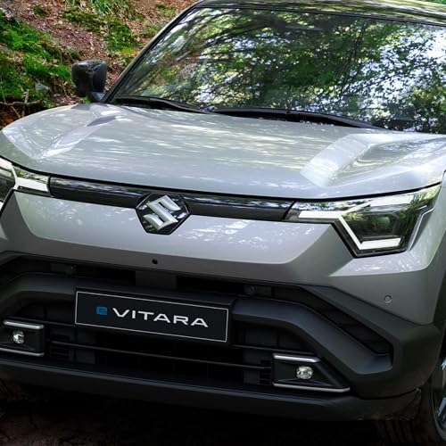 Futuro da Suzuki no Brasil