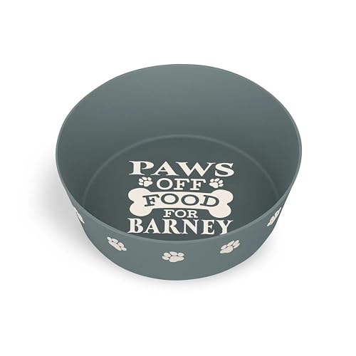 Cuenco personalizado para perro (Barney)