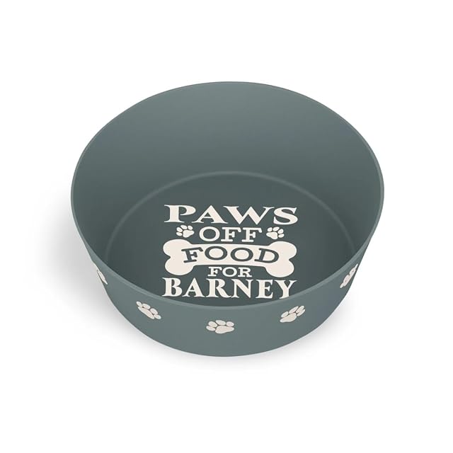 Cuenco personalizado para perro (Barney)