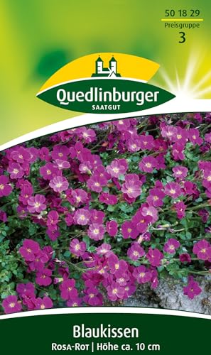 Blaukissen, Rosa-rot