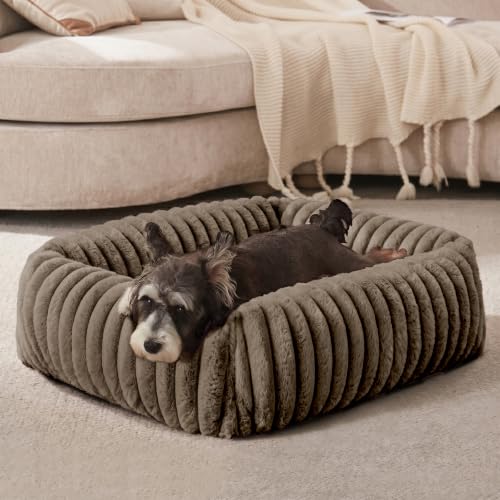 Image of FURTIME Dog Bed for Small Dogs, Washable Orthopedic Dog Bed with Removable Cover, Rectangle Soft Calming Sleeping Puppy Bed Durable Pet Cuddler with Anti-Slip Bottom, Coffee, S (20 inchx19 inchx6 inch)
