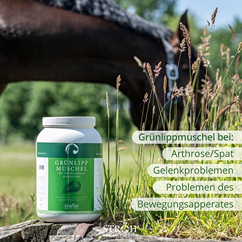 STRÖH Grünlippmuschel Pellets Pferd (2,8kg) • Mit Teufelskralle & Kräuter für Pferde • Unterstützung für Bänder, Sehnen & Gelenke