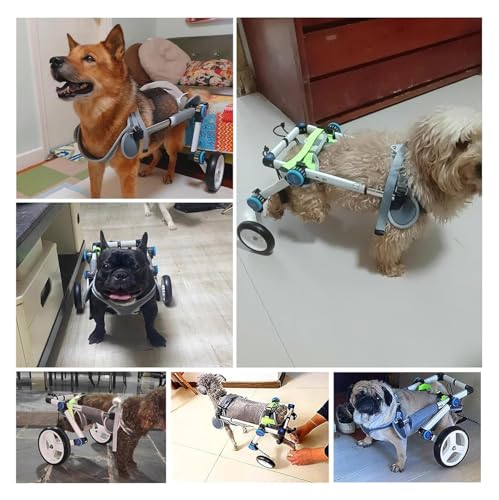 Silla de ruedas ajustable cura la inmovilidad canina: carrito de apoyo trasero Talla S 7