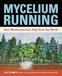 Mycelium Running: How Mushrooms Can Help Save the World