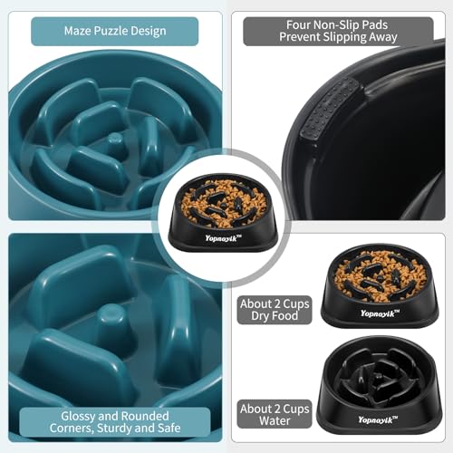 Slow Feeder Dog Bowls 2PCS, Anti-Slip Maze Puzzle Dog Feeding Bowls, Anti-Chocking and Interactive Dog Food Bowls, Bloat Stop Dog Bowls for Small and Medium Dogs and Cats (Black and Navy Blue) Slow Feeder Dog Bowls 2PCS, Anti-Slip Maze Puzzle Dog Feeding Bowls, Anti-Chocking and Interactive Dog Food Bowls, Bloat Stop Dog Bowls for Small and Medium Dogs and Cats (Black and Navy Blue)