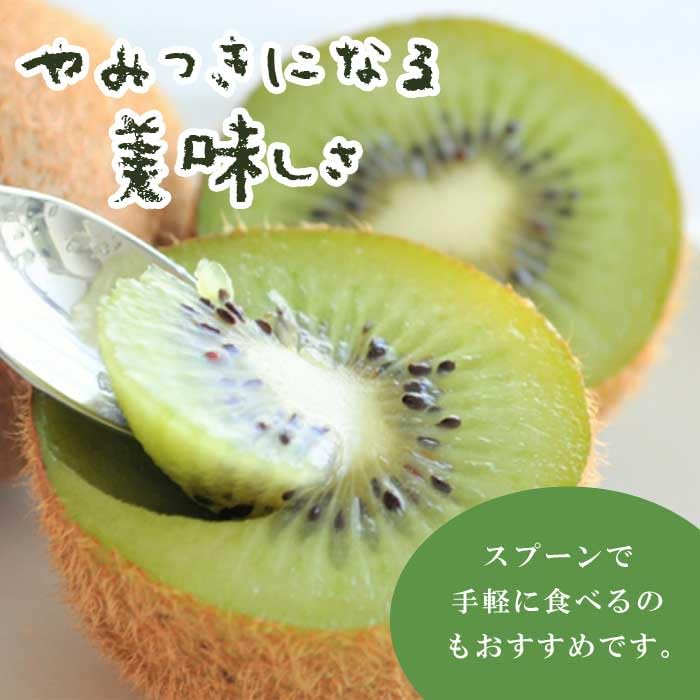Amazon.co.jp: キウイ ニューエメラルド 15cmポット キーウィ