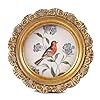 Round Picture Frames 3×3 Antique Picture Frames Small Vintage Picture Frames Mini Pictures Frames Bird Picture Frames Bronze Gallery Wall Decor