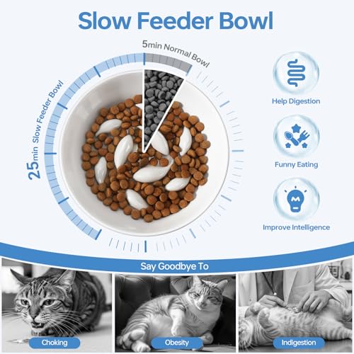 IDOGCHEW Keramik Anti Schling Napf Katze Erhöht, Neigung für gesündere Halswirbel, Slow Feeder für Nassfutter, Antischlingnapf für Katzen und Kleine Hunde, Weiß
