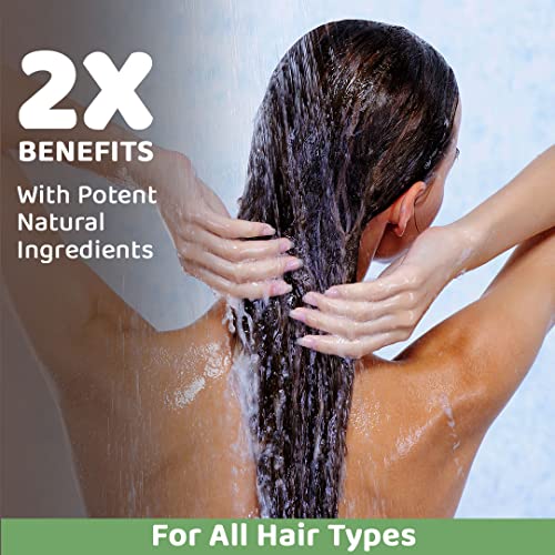 Rey Naturals Tea Tree Bhringraj Anti Dandruff Hair Conditioner Paraben and Sulphate Free for Dry Hair & Frizzy Hair | Suitable for Men and Women (250 Ml) 3 51yC5dHM8QL. SL500