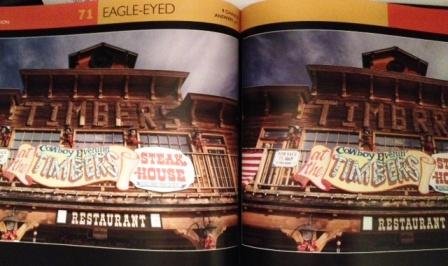 Double Vision: Addictive Picture Puzzles That Challenge Your Attention to Detail