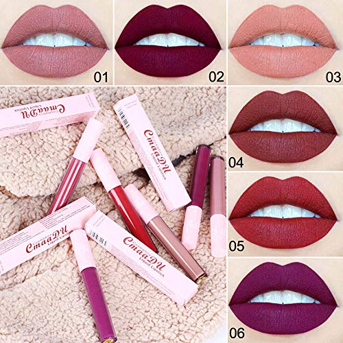 Ownest 6 Color Matte Lip Gloss Set,Velvety Liquid Lipstick Set,Long Lasting Waterproof Non-stick, Pink Tube Lip Gloss Set
