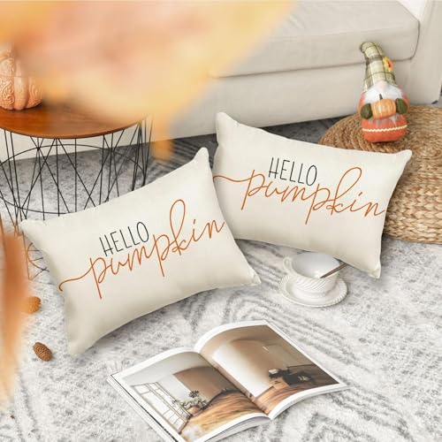 RABUSOFA Fall Pillow Covers 12x20 Inch,Autumn Hello Pumpkin Pillows Decorative Throw Pillows,Lumbar Outdoor Thanksgiving Cushion Cover Farmhosue Fall Decor for Bedroom Couch Sofa White - Image 3