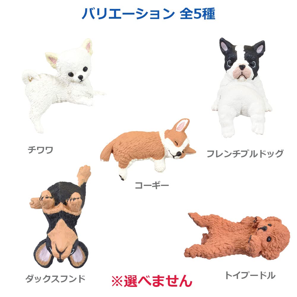 Amazon.co.jp: フィギュア ふちやすみ いろいろわんこ BOX 1個入