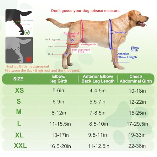 Hunde-Kniebandagen für Hinterbein, Kniebandage für Hunde mit gerissenem ACL Hinterbein oder Vorderbein, Hilfe zur Schmerzlinderung, Arthrose, Bänderverletzungen, verstellbare Beinstütze für