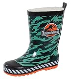 fotos de huesos de dinosaurios reales Exclusivo: Producto oficial de Jurassic World. No encontrarás este diseño de Wellington en ningún otro lugar y seguro que serán un gran éxito con cualquier fan de Jurassic World y Dinosaurio.