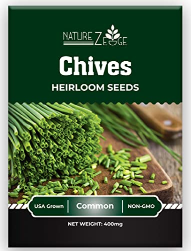 6 Variety Herb Seeds Kit, Parsley, Chives, Thyme, Sage, Dill, Oregano #TOP1