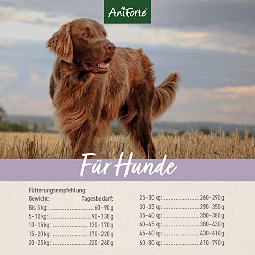 AniForte Lamm Trockenfutter für Hunde 7kg – Herzhaftes Lamm mit Süßkartoffeln & Vitaminen, Halbfeuchtes Trockenfutter, Hundefutter trocken getreidefrei & glutenfrei für Allergiker
