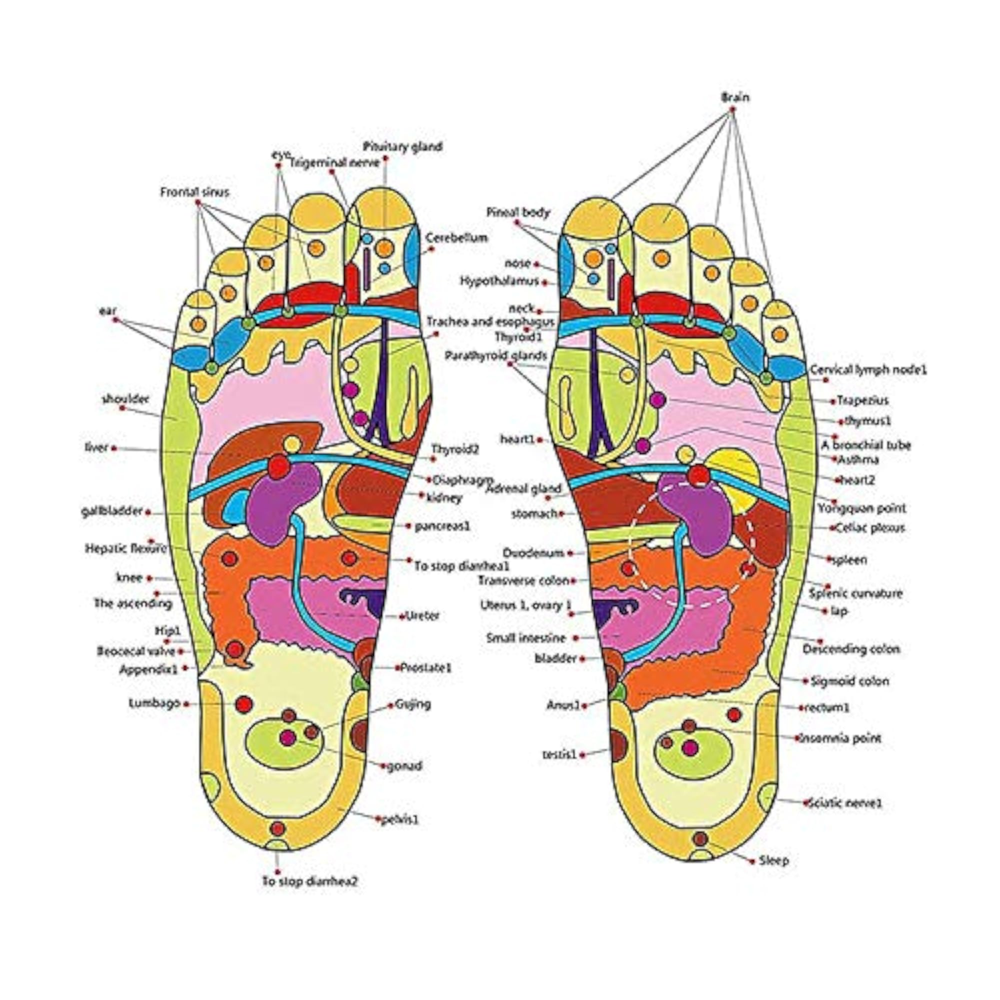 Manual Spring Acupressure Slippers for Blood Circulation