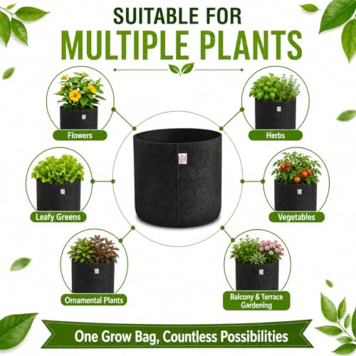 Image of Casa De Amor 400 GSM Geo Fabric Plant Grow Bag, Black 10 x 10 Inch Pack of 3, Round Fabric Pots for Terrace, Balcony, Flowers & Vegetable Gardening