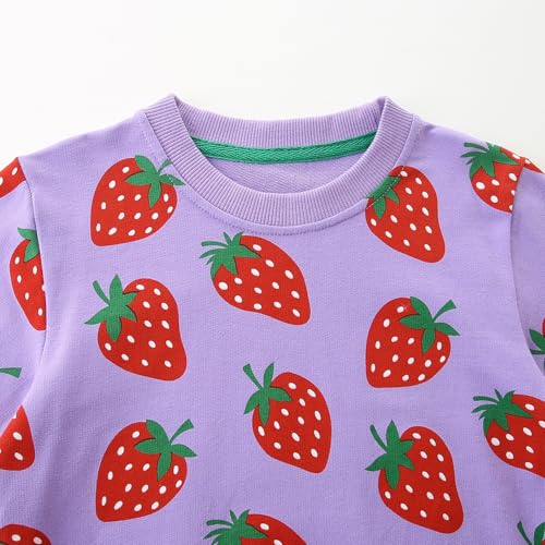 Image of Bumeex Girls Cotton Crewneck Cute Sweatshirts The Hedgehog and The Fox Pink 2-7T