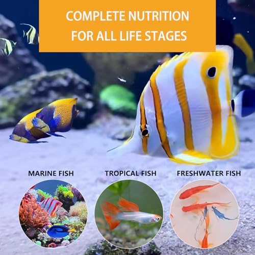 JADINGSFARM Liquid Fish Food with Non-Living Daphnia - No Refrigeration Needed for Tropical Fish, Fry, Corals, Seahorses & Jellyfish - Promotes Vibrant Colors & Healthy Growth (Daphnia) — view 4