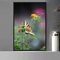 Framed Canvas Wall Art Butterfly Expressive Farmhouse/Country Home Office Insects Lake Multicolor Photography - 16x24 inches