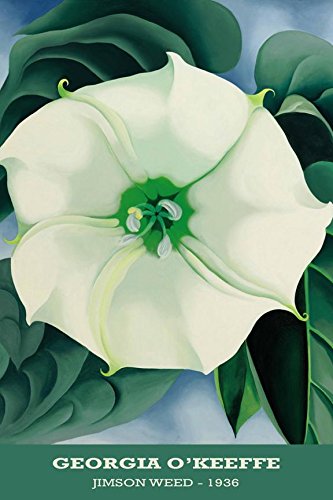 Amazon.com: Jimson Weed 1936 by Georgia O'Keefe 18x12 Museum Art