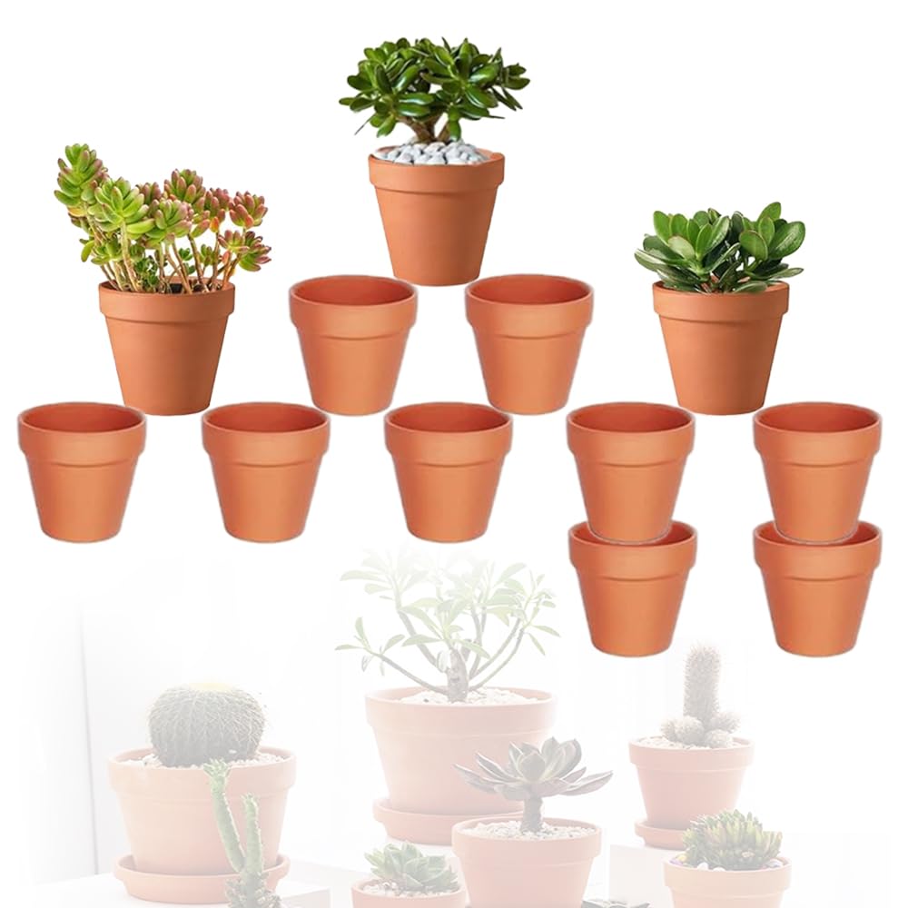 12 vasi terracotta da 7 x 6 cm, piccoli con foro di scarico, ideali per fai-da-te, riutilizzabili, per piante in appartamenti e uffici