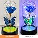 YXOTJHS Glass Rose in Glass Dome, Light Up Flower, Eternal Roses - Valentines Day Gifts for Her, Mothers Day Roses Gift for Mom, Womens Gifts for Christmas - Galaxy Rose, Birthday Gift