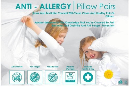 Sleepynights White Love2sleep Anti Allergy Hollow Fibre Pillows - 4 Pack Soft/Medium Support - 4 Pillows