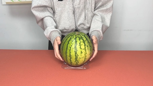 Amazon.com : Irenare 50 Pcs Melon Cradle Plastic Melon Cradles