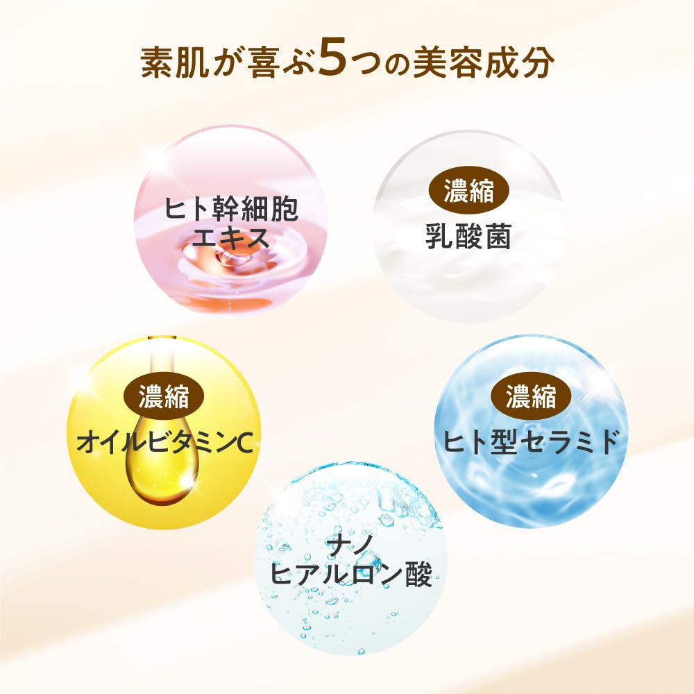 Amazon | WATTLE 艶肌フィットパウダー ワトルクッション