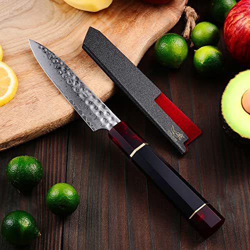 Yonovak 5 Inch Damascus Paring Knife, Pro Japanese 67 Layer 9Cr18Mov Clad Steel W/New Type Ergonomic Resin Handle Petty Knife, Lightweight Sharp Kitchen & Restaurant Fruit Knife W/Sheath #TOP1