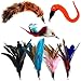 Pet Fit For Life 7 Piece - PLUS BONUS - Replacement Feathers and Soft Furry For Interactive Cat and Kitten Toy Wands