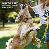 CollarDirect Reflektierendes Hundehalsband für kleinen, mittelgroßen, großen Hund, Welpen mit Schnellverschluss, Hündin, Rüde, 48 Sorten, Nylon Wasserfest