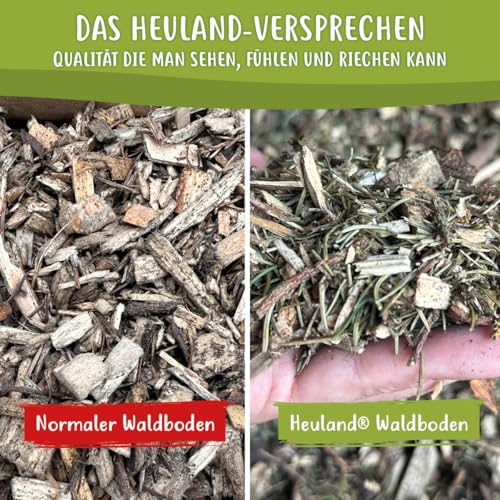 HEULAND Waldboden-Einstreu 40 L – natürliches Einstreu mit Tannen & Fichtennadeln – extrem saugstark & geruchsbindend – für Kaninchen, Meerschweinchen, Hühner & Nager