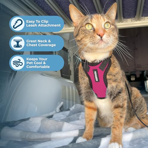 Image of Voyager Escape-Proof Step-in Lock Cat Harness & 5ft Neoprene-Handle Leash Set All-Weather Mesh with Reflective Stitching for Small to Large Cats by Best Pet Supplies, Fuchsia /Black Trim, XXXS