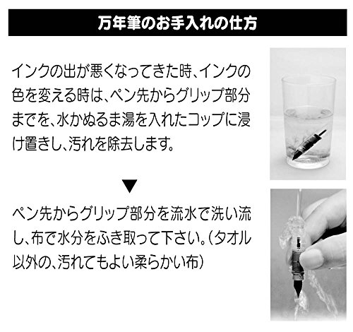 Image of Platinum Fountain Pen, Plaisir Fine Nib, Ice White (PGB-1000B-#3-F)