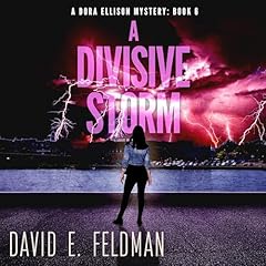 A Divisive Storm cover art