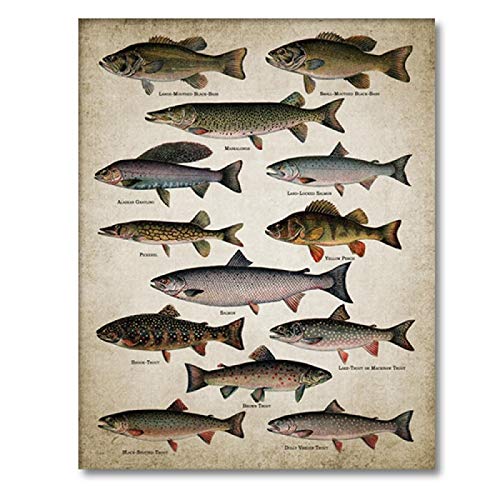 Affiches de toile de pêche pour combler un grand mur vide 60x80 cm