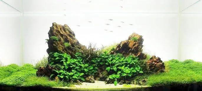 View 2