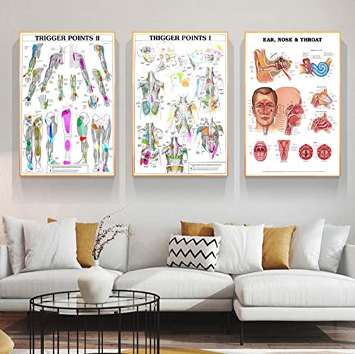Toile Points de Déclenchement Anatomie Humaine pour Déco Chambre et Maison