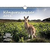 Hochwertiger Digitaldruck auf min. 250 g/m² Papier mit Kartonrückwand