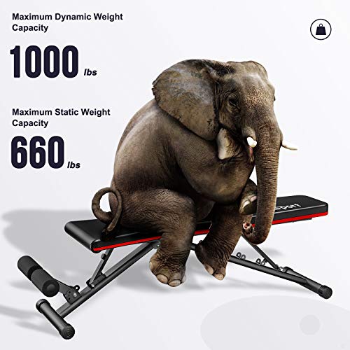 FBSPORT Weight Bench, Adjustable Strength Training Workout Bench , Bench Press for Home Gym Full Body Exercise, Incline Decline Weight Bench Foldable Workout Bench with Bands, Red