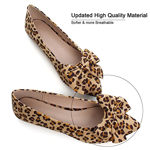 Image of Dear Time Women's Ballet Flats Dress Ballet Shoes Slip on for Office Work Comfortable Shoes