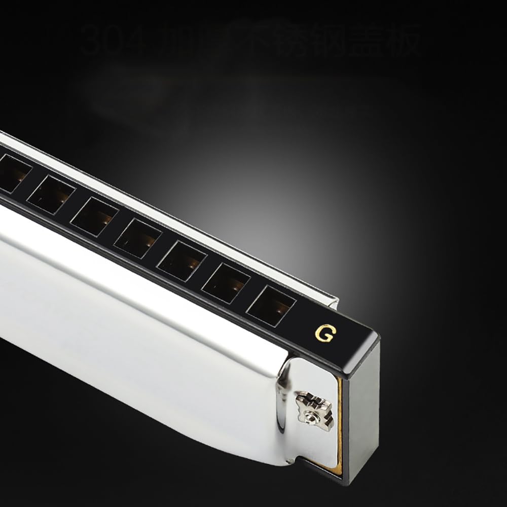 Swan Harmonica - Juego de armónica de 10 agujeros, 7/12 tonos, caja de regalo, armónica para principiantes y adultos (juego de 7 tonos)