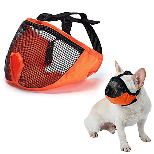 Top 10 Best Shih Tzu Muzzles Available [Updated 2020]