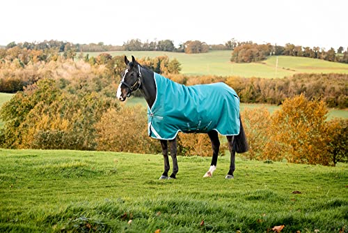 Couverture Horseware Amigo Bravo 12 Wug 250g imperméable et chaude